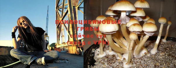 МДПВ Верхний Тагил