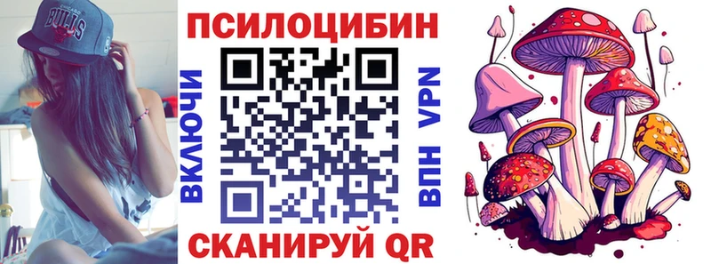 где можно купить наркотик  Карасук  Псилоцибиновые грибы мухоморы 